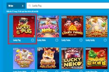Lucky Pug – Hãy tìm hiểu cách chơi chi tiết tại Happy Luke